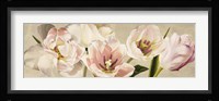 White Flowers Fine Art Print