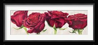 Rose Romantiche Fine Art Print