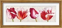 Gioiosi Tulipani Fine Art Print