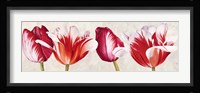 Gioiosi Tulipani Fine Art Print