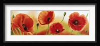 Poppies in the Wind Fine Art Print