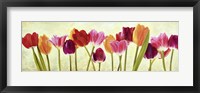 Tulip Parade Fine Art Print