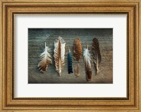 Feather Collection I Fine Art Print