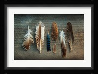Feather Collection I Fine Art Print
