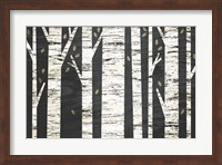Birch Forest Fine Art Print