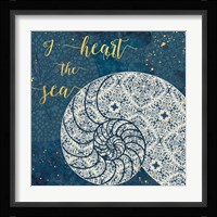 Coastal Lace IV Fine Art Print