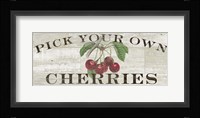 Farm Fresh Cherries Fine Art Print