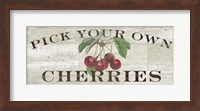 Farm Fresh Cherries Fine Art Print