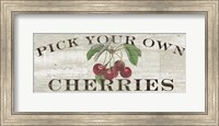 Farm Fresh Cherries Fine Art Print