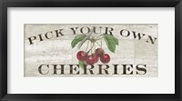Farm Fresh Cherries Fine Art Print