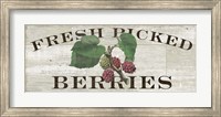 Farm Fresh Berries Fine Art Print