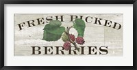 Farm Fresh Berries Fine Art Print