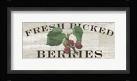 Farm Fresh Berries Fine Art Print