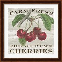 Farm Fresh Cherries I Fine Art Print