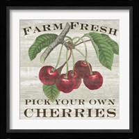 Farm Fresh Cherries I Fine Art Print