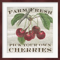 Farm Fresh Cherries I Fine Art Print