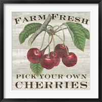 Farm Fresh Cherries I Fine Art Print