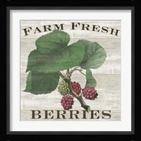 Farm Fresh Berries I Fine Art Print