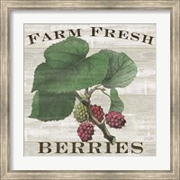 Farm Fresh Berries I Fine Art Print