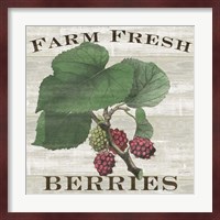 Farm Fresh Berries I Fine Art Print