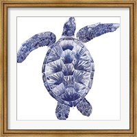 Marine Turtle II Fine Art Print