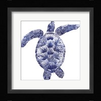 Marine Turtle II Fine Art Print