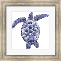 Marine Turtle II Fine Art Print