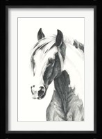 American Paint II Framed Print