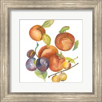 Harvest Medley I Fine Art Print