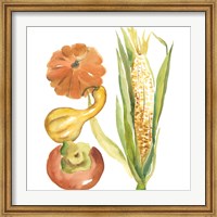 Harvest Medley V Fine Art Print