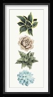 Row of Succulents I Framed Print