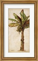 Tropic Banana II Fine Art Print