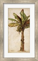 Tropic Banana II Fine Art Print
