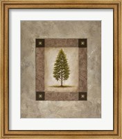 European Pine I Fine Art Print