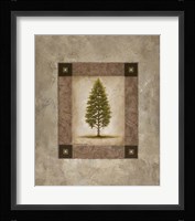 European Pine I Fine Art Print