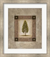 European Pine I Fine Art Print