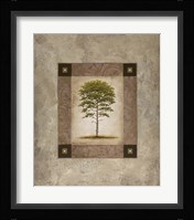 European Pine II Fine Art Print