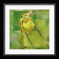 Cool Garden I Framed Print