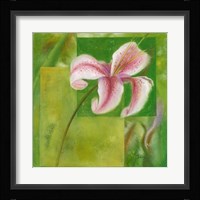 Cool Garden II Framed Print