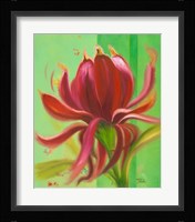 Exotica I Fine Art Print