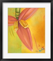 Exotica II Fine Art Print