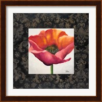 Poppy Flower I Fine Art Print