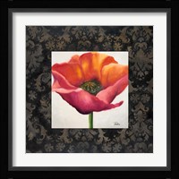 Poppy Flower I Framed Print