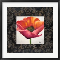 Poppy Flower I Framed Print