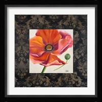 Poppy Flower II Framed Print