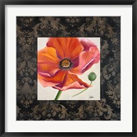 Poppy Flower II Framed Print