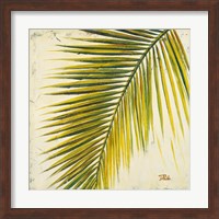 Baru Palm I Fine Art Print