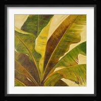 Uraba I Fine Art Print