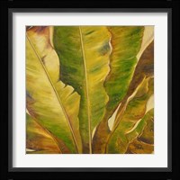 Uraba II Fine Art Print