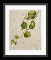 Botanica I Framed Print